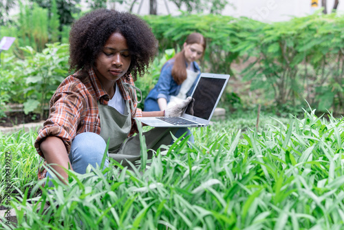 Young woman farmer uses laptop to analyze and research agricultural crops in a vegetable plot, Agriculture technology concept 