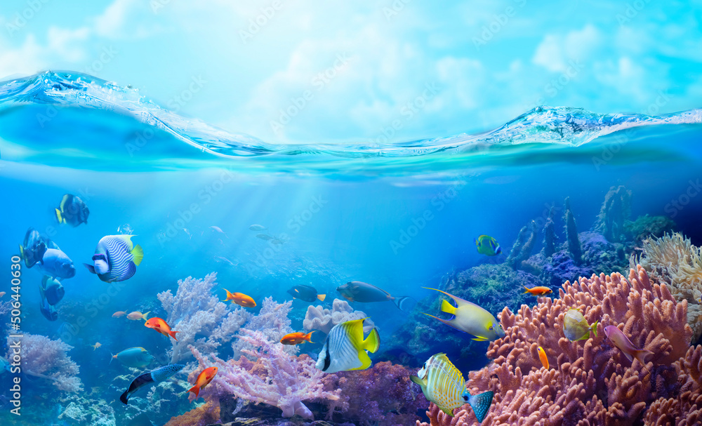 Animals of the sea world. Underwater panoramic view of the coral reef. Colorful tropical fish. Ecosystem.  - obrazy, fototapety, plakaty 