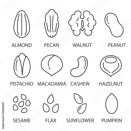 Nuts and seeds icon set. Cartoon line icons, isolated vector clip art illustration.