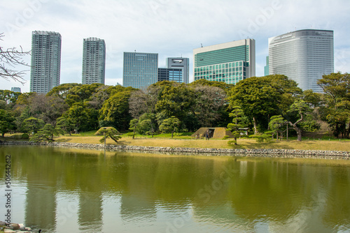Skyline view of Chuo Ward by Sumida River from the Hamarikyu Gardens in Tokyo, Japan photo