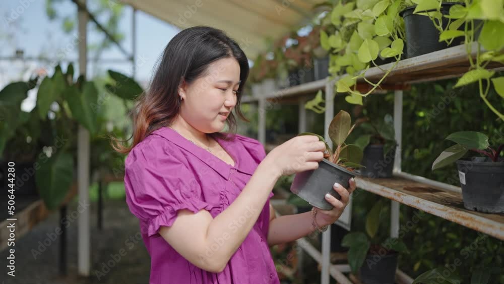 Asian female customer buys green plants at the garden store shop, A young lady chooses ornamental plants at a flower market, Home and Garden concept. Asian female customer buys green plants at the garden store shop, A young lady chooses ornamental plants at a flower market, Home and Garden concept.
