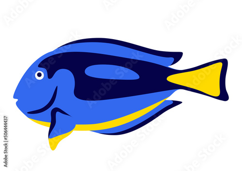 Illustration of tropical powder blue tang fish. Aquarium and sea animal.