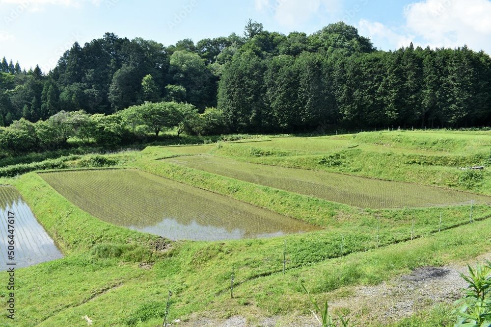 水田、日本の風景,棚田
水田、日本の風景,棚田