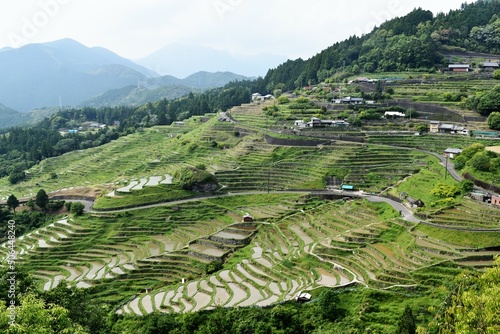 千枚田,三重県,田園,田植え,米,水田,日本の風景,熊野