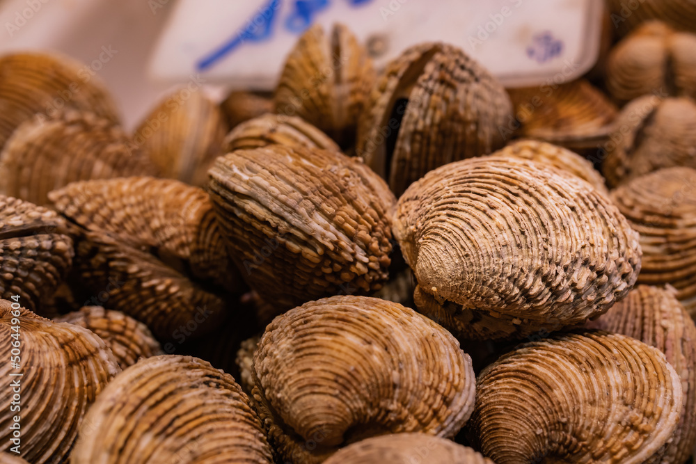 Background of Warty venus (Venus verrucosa), in the market of Vigo (Spain), food concept. Background of Warty venus (Venus verrucosa), in the market of Vigo (Spain), food concept.