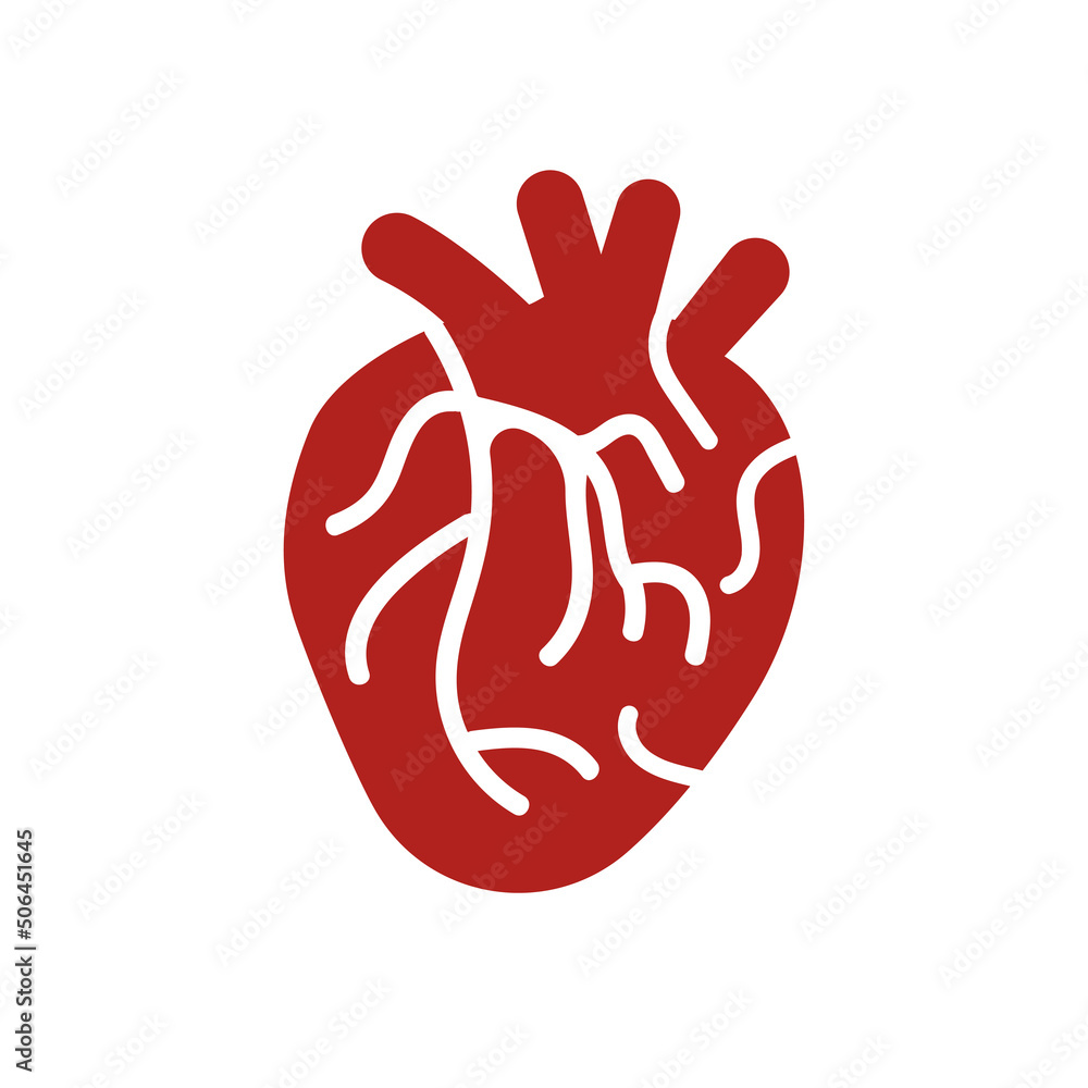 body organs icons, heart on a white background, vector illustration body organs icons, heart on a white background, vector illustration