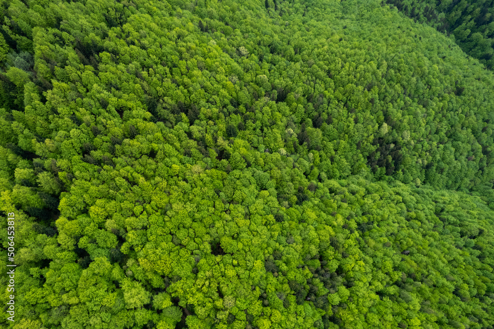 Top down aerial view of carpathian mountains covered with trees colored into spring colors The gorgeous fresh colors of spring foliage Top down aerial view of carpathian mountains covered with trees colored into spring colors The gorgeous fresh colors of spring foliage