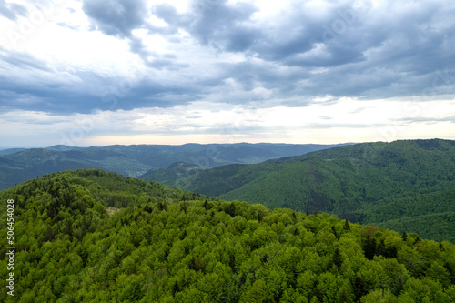 Top down aerial view of carpathian mountains covered with trees colored into spring colors The gorgeous fresh colors of spring foliage