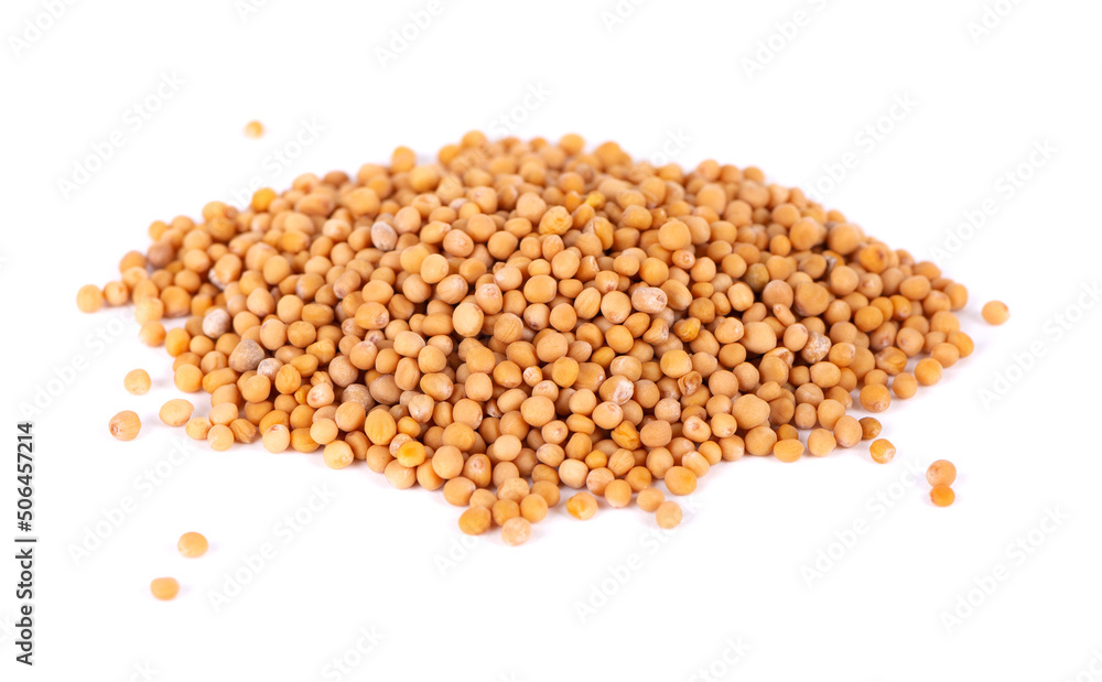 Mustard seeds isolated on white background. Pile of dry mustard grains. Mustard seeds isolated on white background. Pile of dry mustard grains.