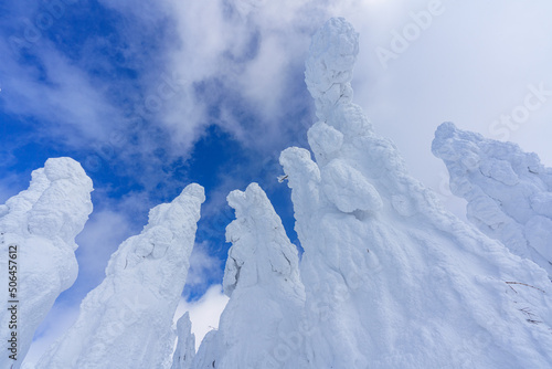 Wallpaper Mural 森吉山の樹氷（スノーモンスター）　日本三大樹氷　秋田観光 Torontodigital.ca