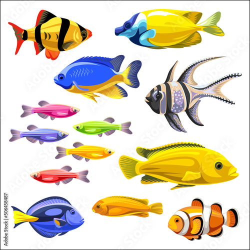 A set of colored fish isolated on a white background. 