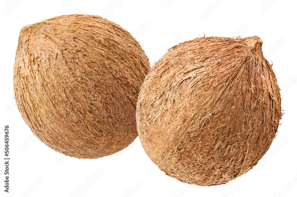Two coconuts, isolated on white background Two coconuts, isolated on white background