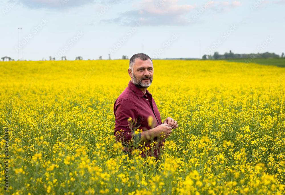 Portrait of smiling middle age farmer standing in rapeseed field examining crop. Portrait of smiling middle age farmer standing in rapeseed field examining crop.
