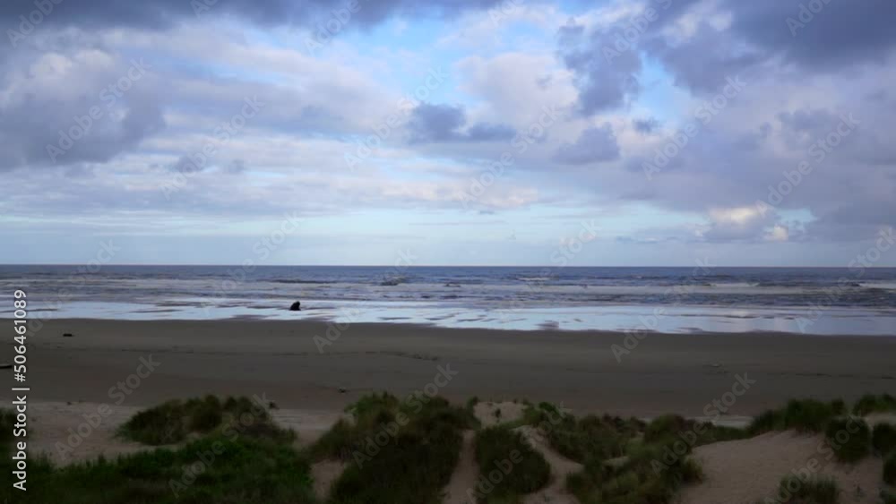 Slow motion of bird flying on a beach Slow motion of bird flying on a beach