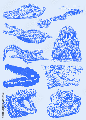 Graphical big  color set of crocodiles, blue heads of crocodile vector illustration