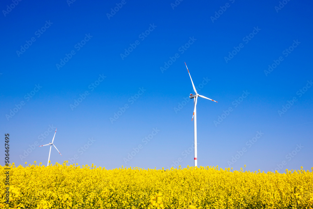 summer landscape against the backdrop of windmills summer landscape against the backdrop of windmills
