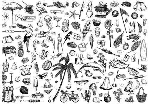 Summer time sketches collection. Drawings set of animals, plants, leisure accesories, clothing, foods. Hand drawn vector illustrations. Cliparts isolated on white.