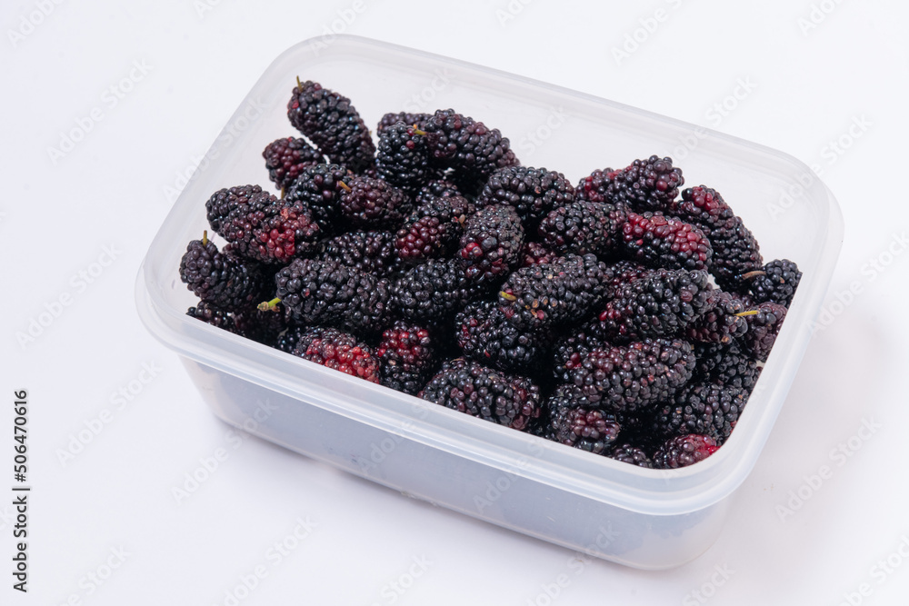 Freshly harvested mulberries on white background Freshly harvested mulberries on white background