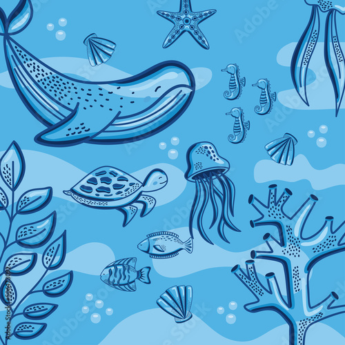 sealife animals and plants
