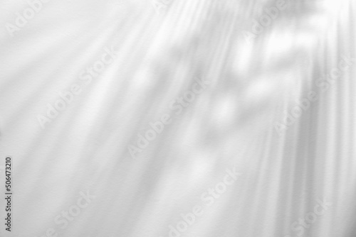 Light and shadow leaves,palm leaf overlay on grunge white wall concrete background.Silhouette abstract tropical leaf natural pattern for wallpaper,summer texture.Black and white blurred backdrop.