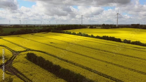 Drone flight over yellow rape field with wind energy gernerating mills in background