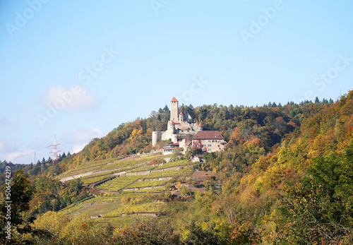 Hornberg Castle in the Neckar Valley, Neckarzimmern between Heidelberg and Heilbronn, Baden-Württemberg, Germany, Europe photo