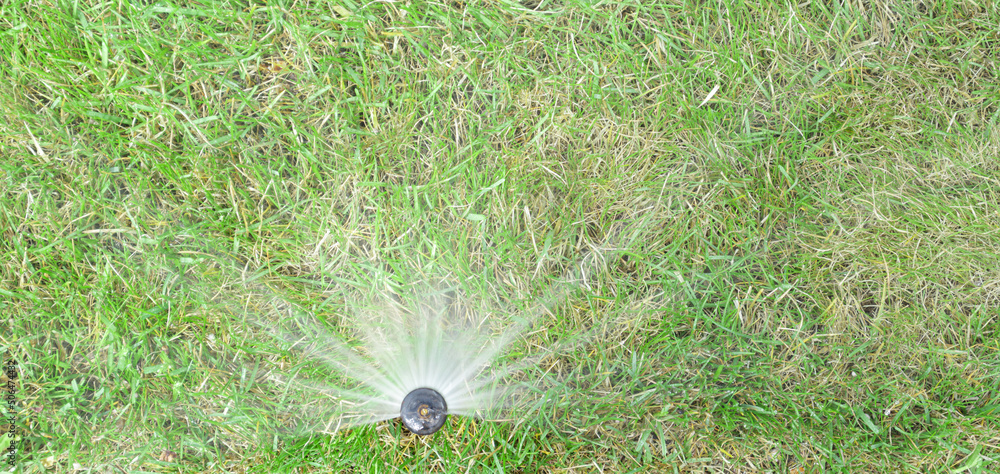 Garden irrigation system lawn. Automatic lawn sprinkler watering green grass. Selective focus.