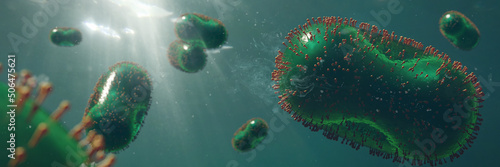 Monkeypox viruses,  one of the human orthopoxviruses, background banner format, closeup photo