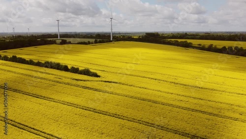 Drone flight over yellow rape field with wind energy gernerating mills in background