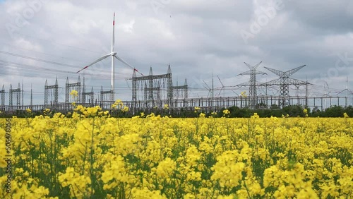 Electricity power plant with windmills and powerlines and yellow agricultural field in foreground