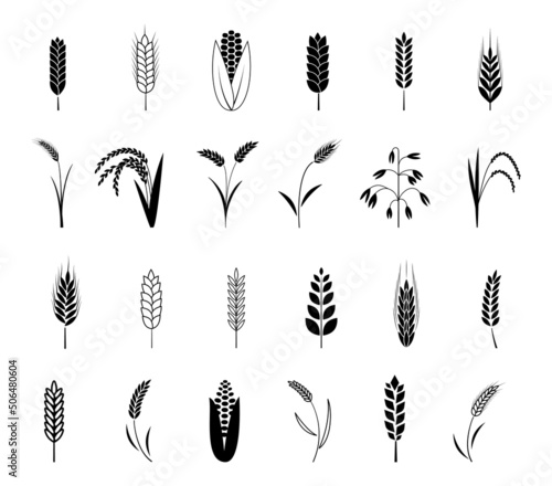Wheat ear icons set. Barley and corn cereal, rye and rice grain, black silhouettes decorative isolated bakery collection, seed harvest for farm bread or beer. Organic food illustration vector
