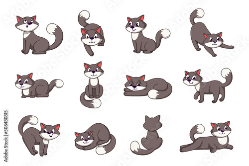 Cartoon cat. Friendly graphic kitty in simple poses. Funny pets actions and positions set. Relaxing pussycat. Fluffy kitten sitting or lying. Vector flat cliparts of domestic animal
