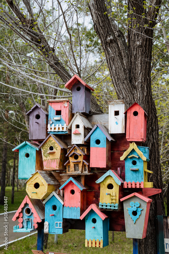Canvas Print Colorful birdhouses hang on a tree, a group of bird's nests are made of boards, small houses for bird starlings, art art of a carpenter