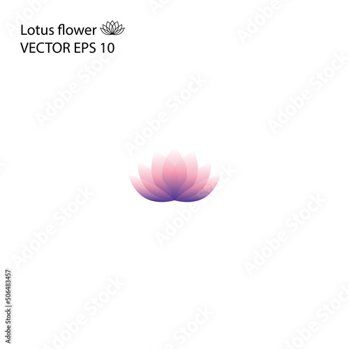 Lotus flower vector eps10, gradient color logo, isolated on white background. Water lily translusent flower, design element.