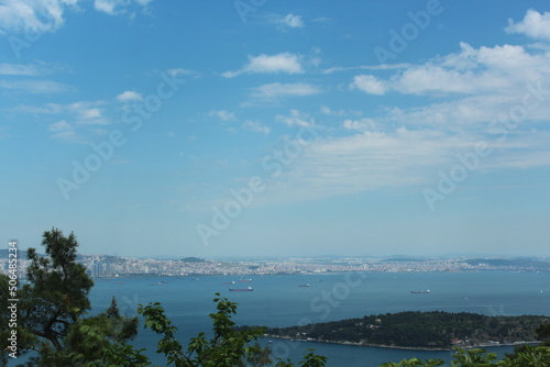 Istanbul Adalar, island landscapes, seagulls, black-winged seagulls soaring from the sky, crow on the tree, seagulls, passenger ferry, sunset Adalar Istanbul Turkey