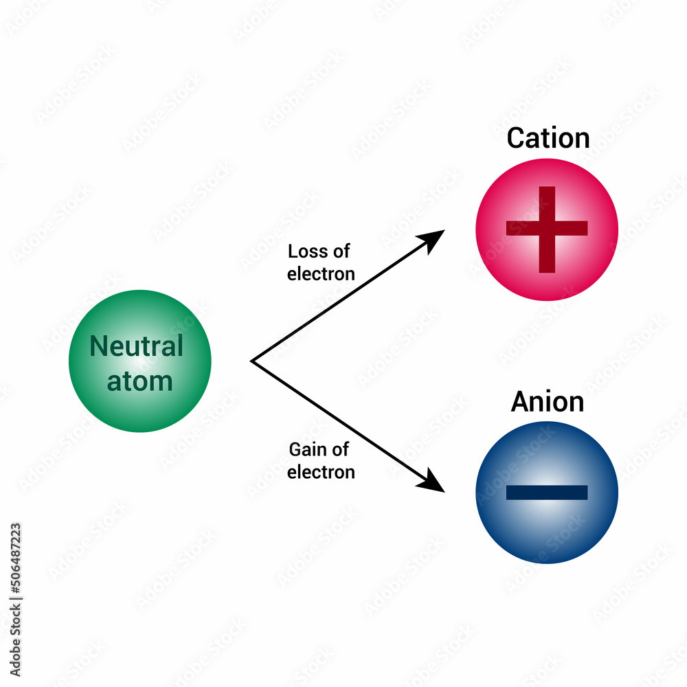 difference between anions, cations and neutral atom vector illustration isolated on white background.