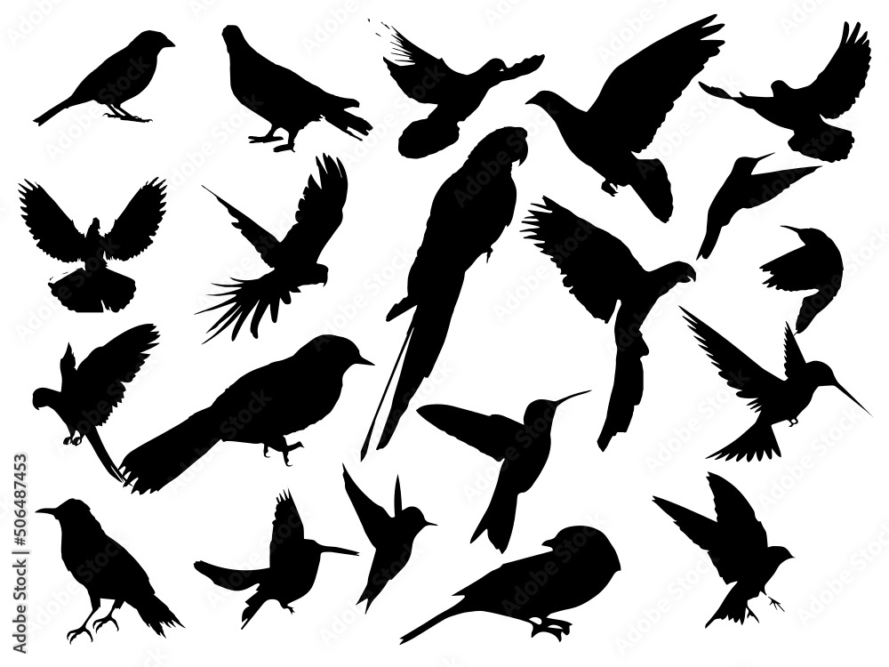Obraz premium Free Vector Flying Birds Silhouette