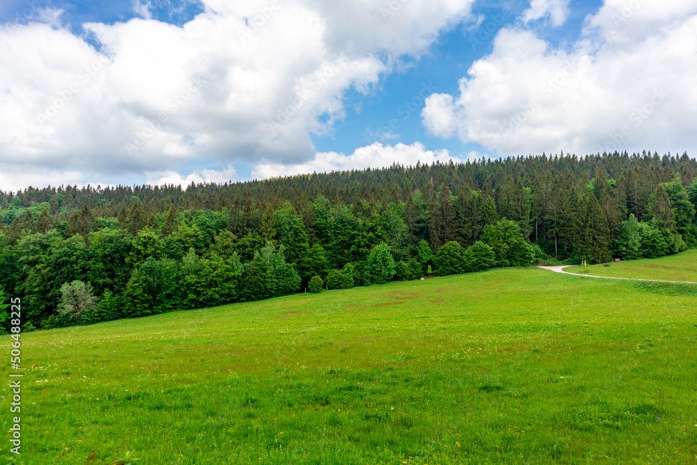 Wanderung zum Hochmoor bei Oberhof im Thüringer Wald - Thüringen - Deutschland