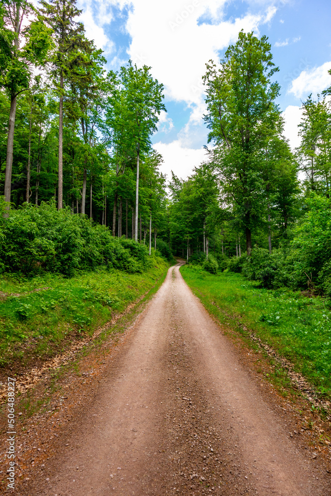 Wanderung zum Hochmoor bei Oberhof im Thüringer Wald - Thüringen - Deutschland Wanderung zum Hochmoor bei Oberhof im Thüringer Wald - Thüringen - Deutschland
