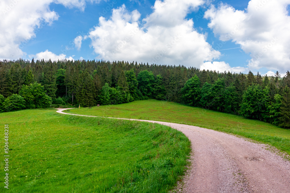 Wanderung zum Hochmoor bei Oberhof im Thüringer Wald - Thüringen - Deutschland Wanderung zum Hochmoor bei Oberhof im Thüringer Wald - Thüringen - Deutschland