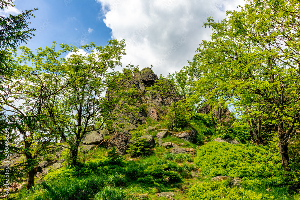 Wanderung zum Hochmoor bei Oberhof im Thüringer Wald - Thüringen - Deutschland