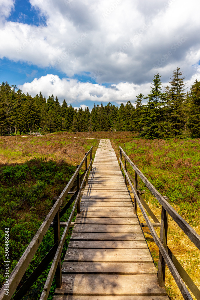 Wanderung zum Hochmoor bei Oberhof im Thüringer Wald - Thüringen - Deutschland