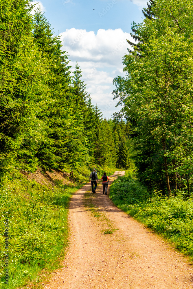 Wanderung zum Hochmoor bei Oberhof im Thüringer Wald - Thüringen - Deutschland Wanderung zum Hochmoor bei Oberhof im Thüringer Wald - Thüringen - Deutschland