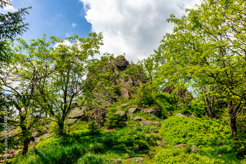 Wanderung zum Hochmoor bei Oberhof im Th  ringer Wald - Th  ringen - Deutschland