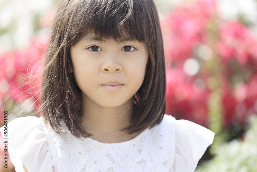 花畑の中の女子小学生 (7歳) 花畑の中の女子小学生 (7歳)