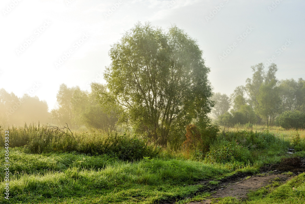 Fototapeta premium Rural road at the field at the early morning