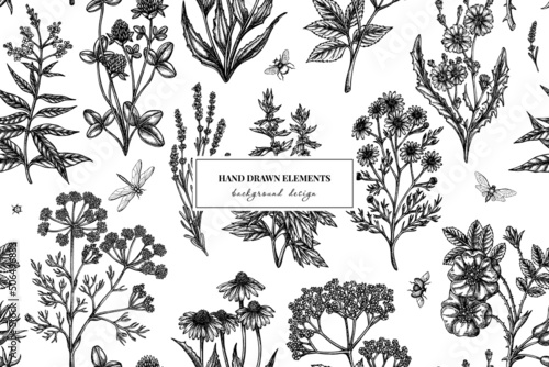 Fototapeta Naklejka Na Ścianę i Meble -  Tea herbs seamless pattern background design. Engraved style. Hand drawn chamomile, chicory, cinnamon rose, etc.
