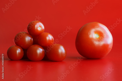 Size comparison of red cherry tomatoes and a normal traditional tomato against a bright red background. Copy space. © slexp880