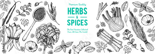 Herbs and spices hand drawn vector illustration. Aromatic plants. Hand drawn food sketch. Vintage illustration. Card design. Sketch style. Spice and herbs black and white design.