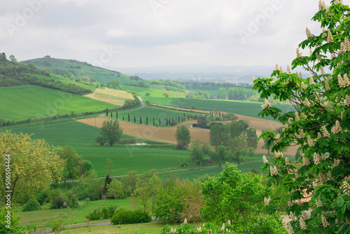 Obraz na płótnie Beautiful view to the French fields in Lautrec, France w salonie